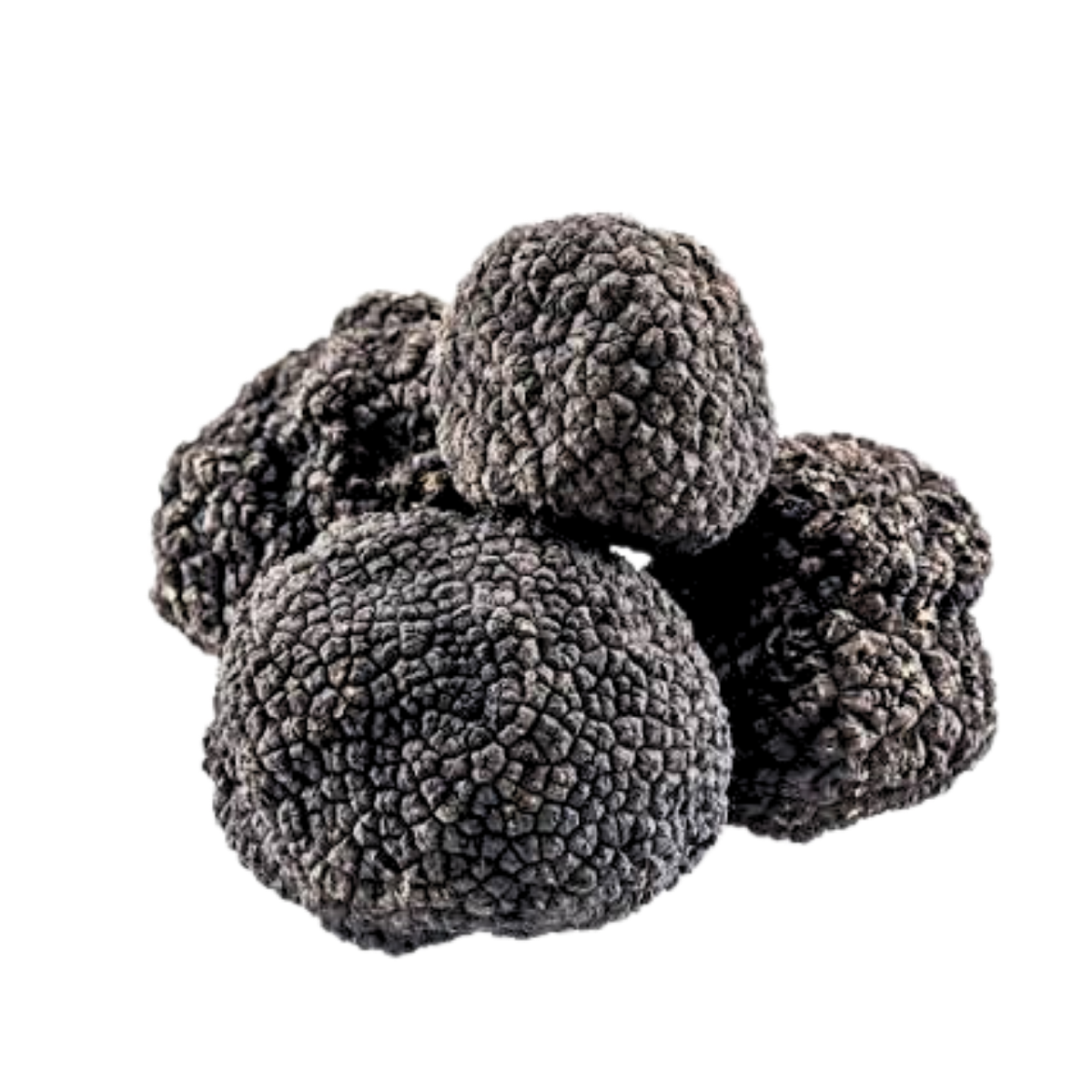 Trufa Negra Invierno Fresca Italiana