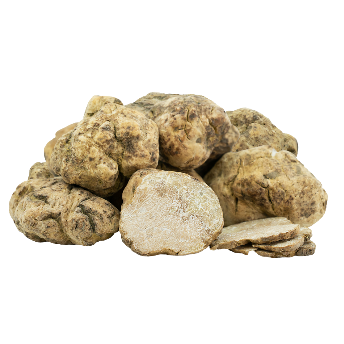 Trufa Blanca de Invierno de Italia